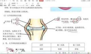 关于动植物的励志作文素材 关于动物的作文