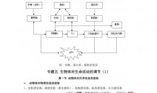 高一生物必修2知识点总结 高二生物知识点总结