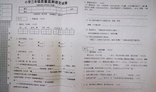 三年级语文期末考试98分算高吗 三年级下册语文期末考试卷