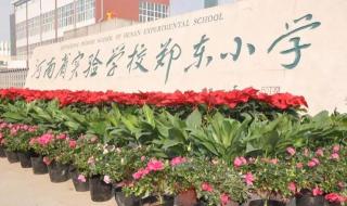 郑州经开实验中学怎样 郑州一中经开区实验学校