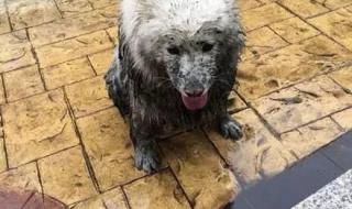 没有雨伞的下雨天怎么办 下雨天没多少钱不要出门